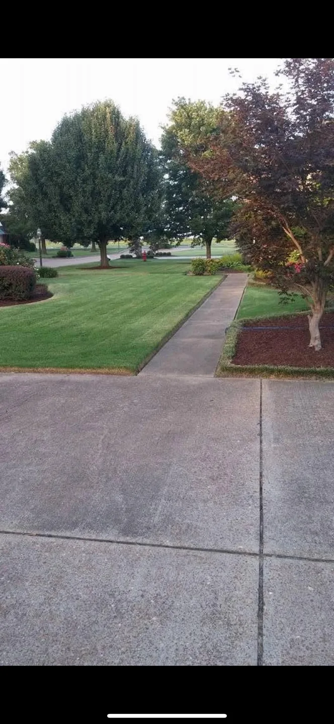 Professionally maintained property